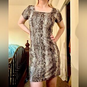 Free Kisses Black Brown White Snake Print Mini Dress Square Neckline Cap Sleeve